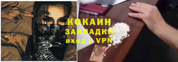 сатива Богородицк