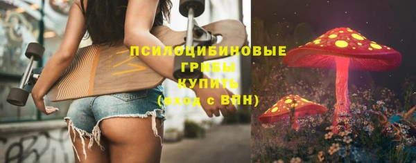 сатива Богородицк